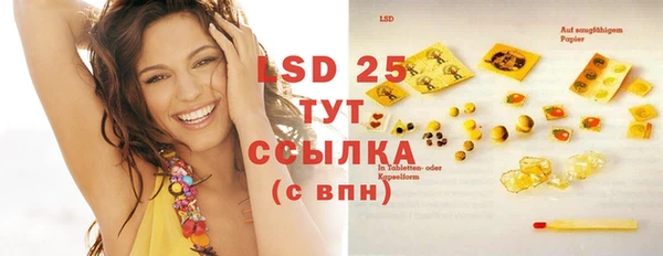 прущие грибы Абинск