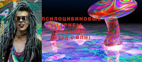 МДПВ Алексин