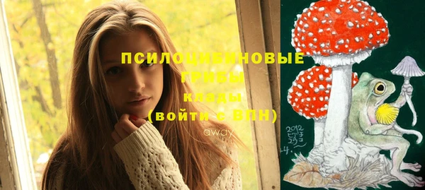прущие грибы Абинск