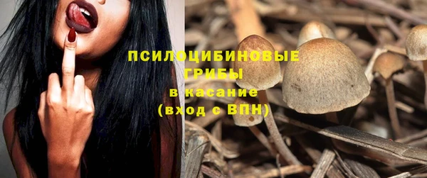 МДПВ Алексин