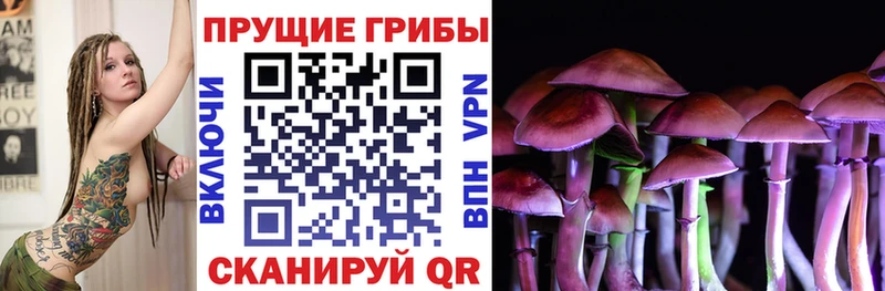 Галлюциногенные грибы мухоморы  где купить наркоту  Оренбург 