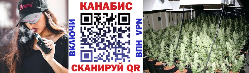 Бошки Шишки семена Оренбург
